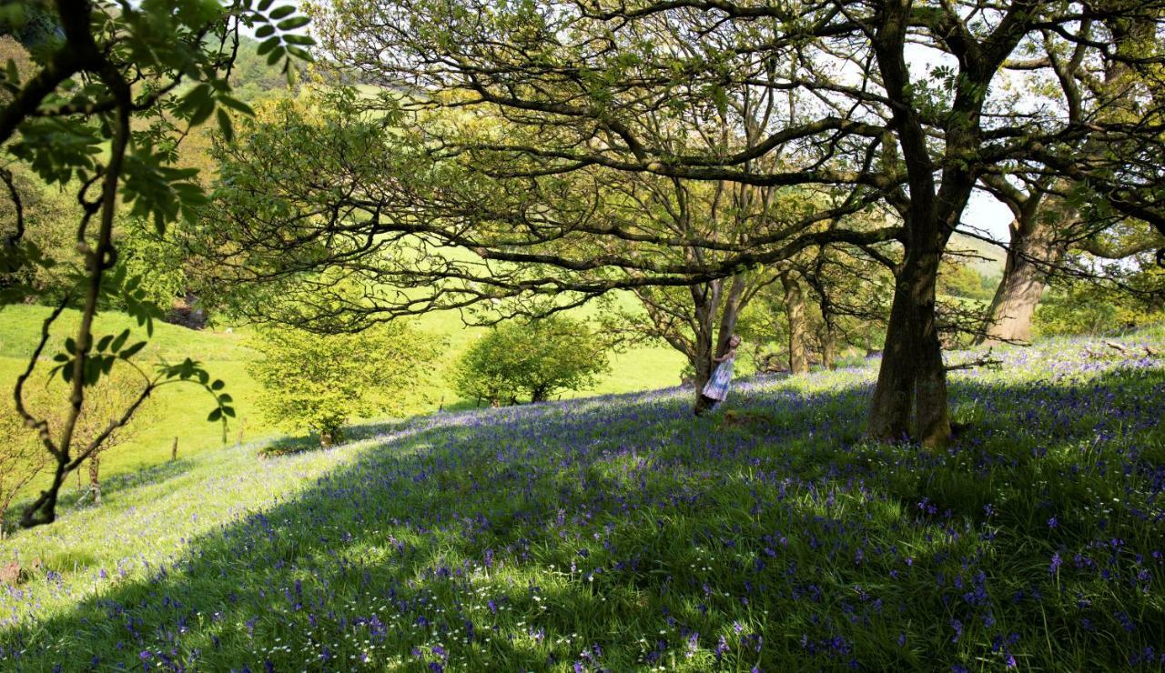 Bluebells Cottage Chop Gate Exterior foto